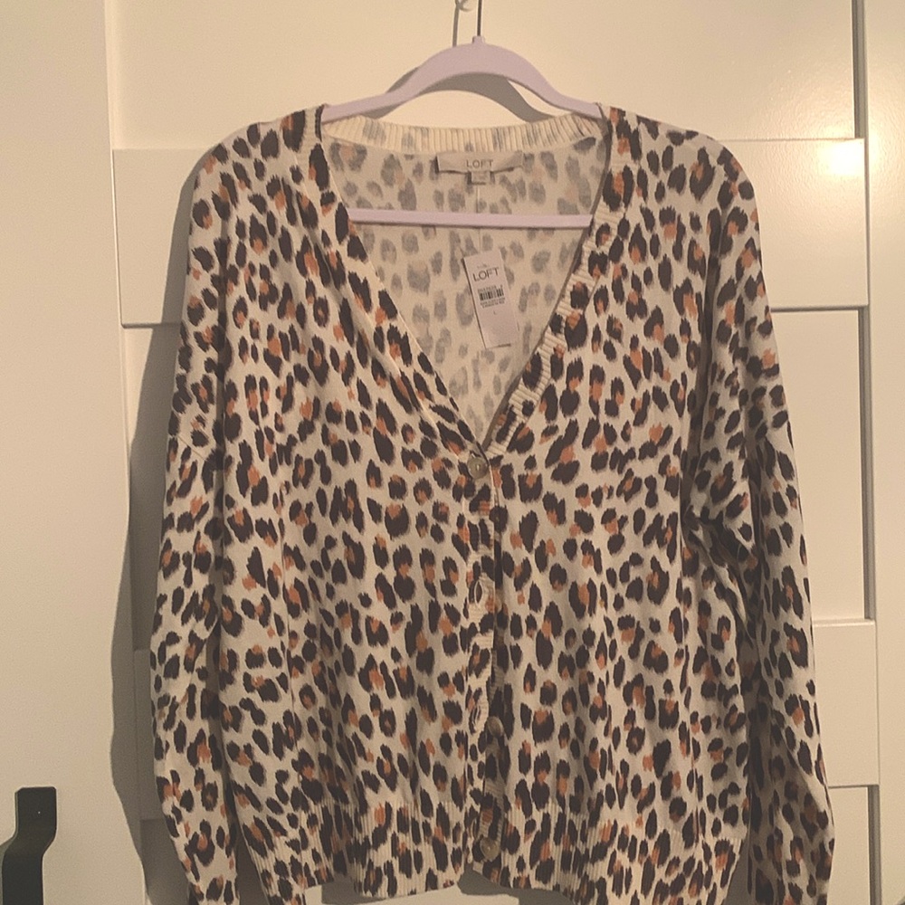 Ann Taylor-LOFT cardigan